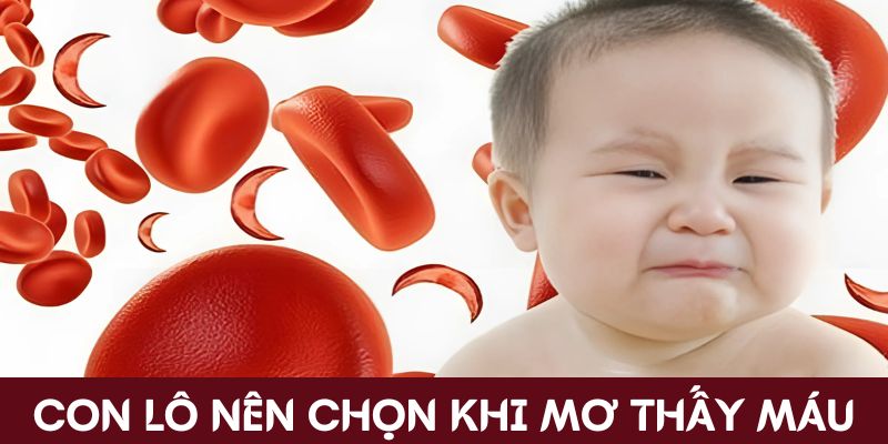 Con lô nên chọn khi mộng thấy máu 