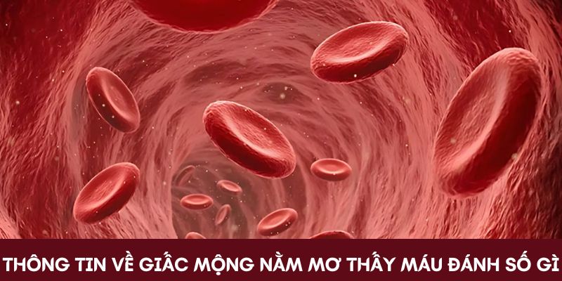 Thông tin về giấc mộng nằm mơ thấy máu đánh số gì